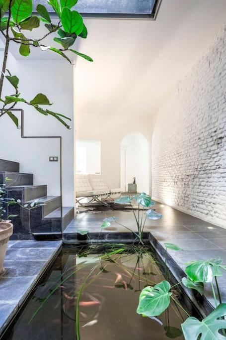 Exclusivo Apartamento De Diseno Centro Sevilla Matahacas Bajo Exterior photo
