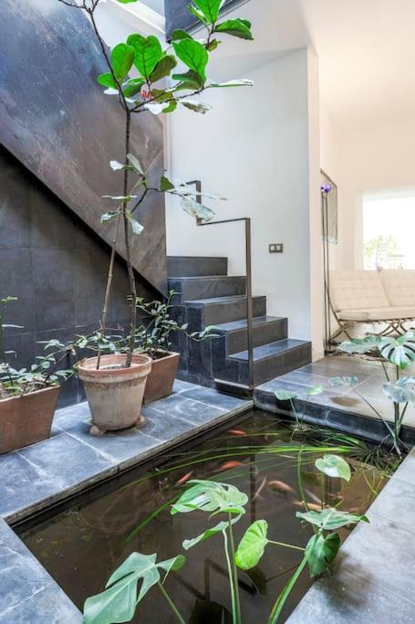 Exclusivo Apartamento De Diseno Centro Sevilla Matahacas Bajo Exterior photo