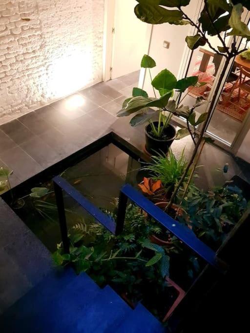 Exclusivo Apartamento De Diseno Centro Sevilla Matahacas Bajo Exterior photo